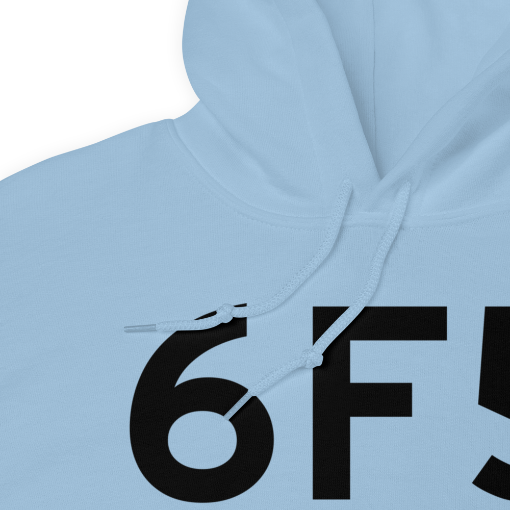 Albany (US-0275) Airport Hoodie Sweatshirt 