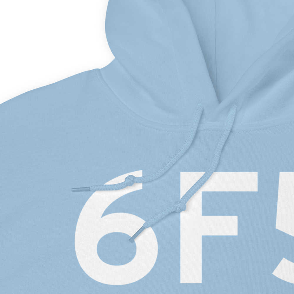 Albany (US-0275) Airport Hoodie Sweatshirt 