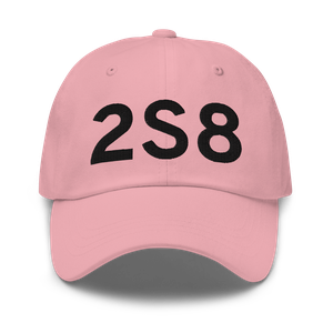 Wilbur (K2S8) Airport Hat