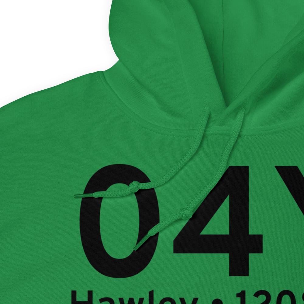 Hawley (K04Y) Airport Hoodie Sweatshirt 