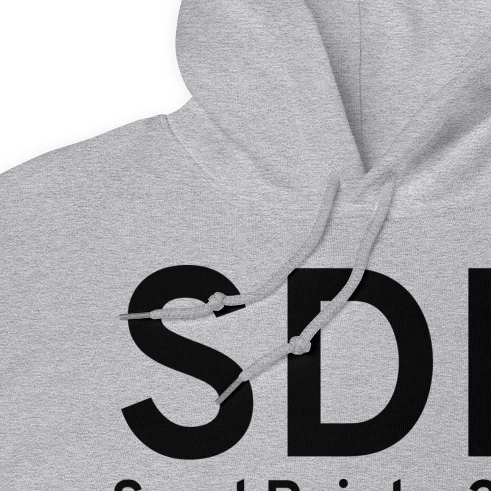 Sand Point (PASD) Airport Hoodie Sweatshirt 