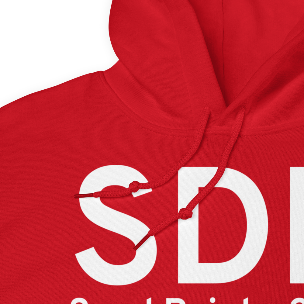 Sand Point (PASD) Airport Hoodie Sweatshirt 