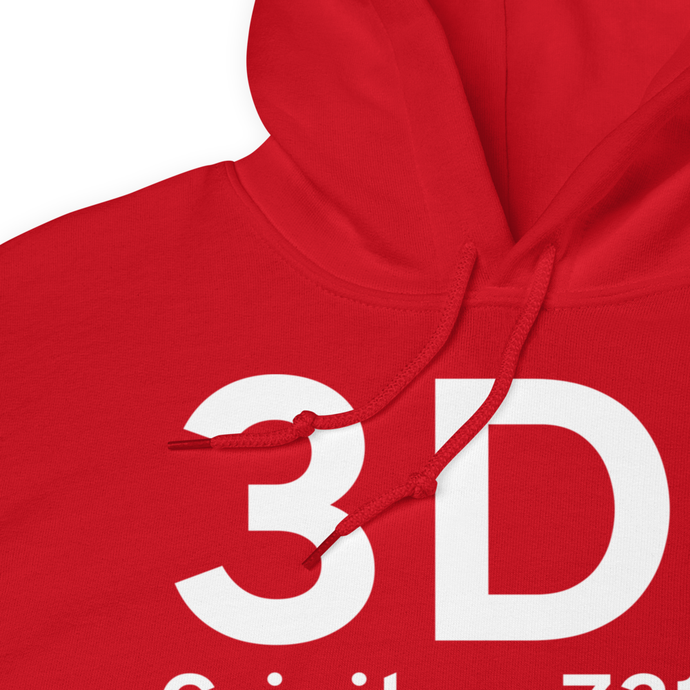 Crivitz (3D1) Airport Hoodie Sweatshirt 