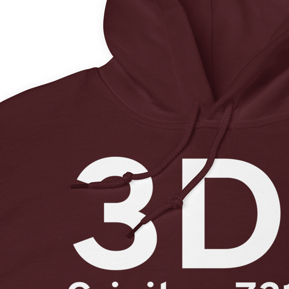 Crivitz (3D1) Airport Hoodie Sweatshirt 