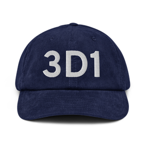 Crivitz (3D1) Airport Hat