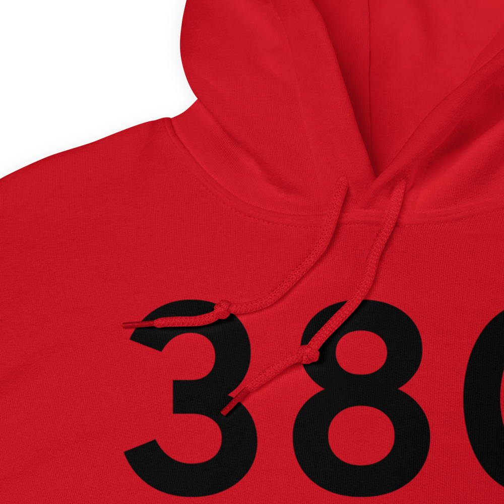 Stanwood (38C) Airport Hoodie Sweatshirt 