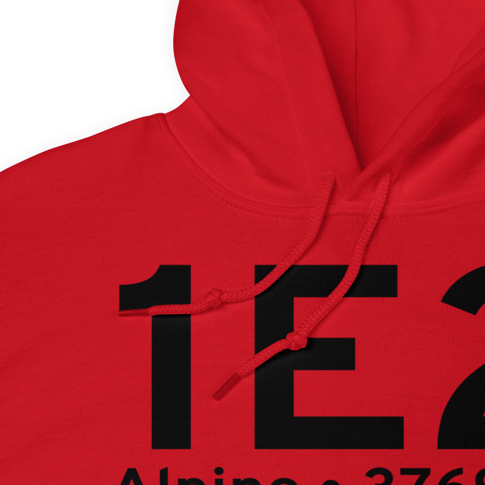 Alpine (1E2) Airport Hoodie Sweatshirt 