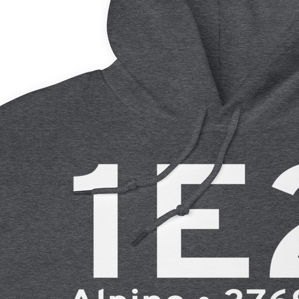 Alpine (1E2) Airport Hoodie Sweatshirt 