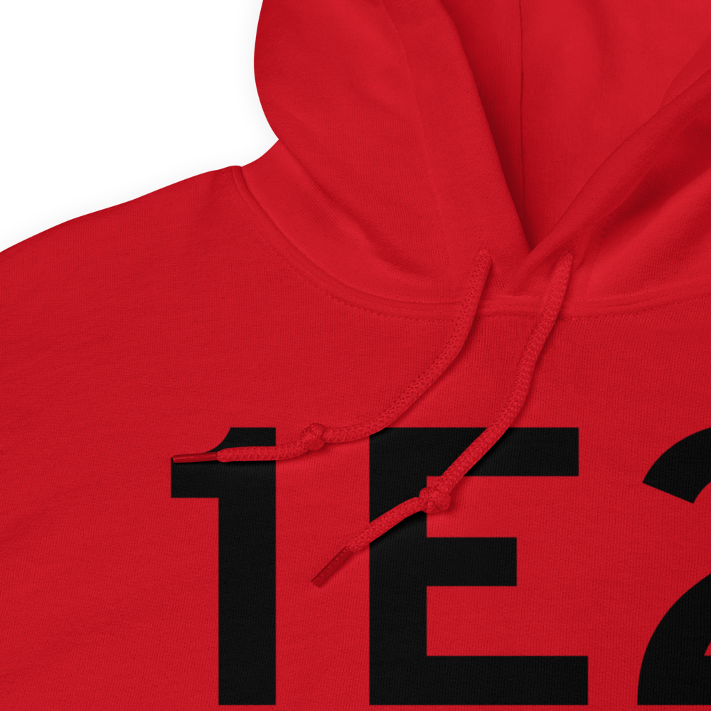 Alpine (1E2) Airport Hoodie Sweatshirt 