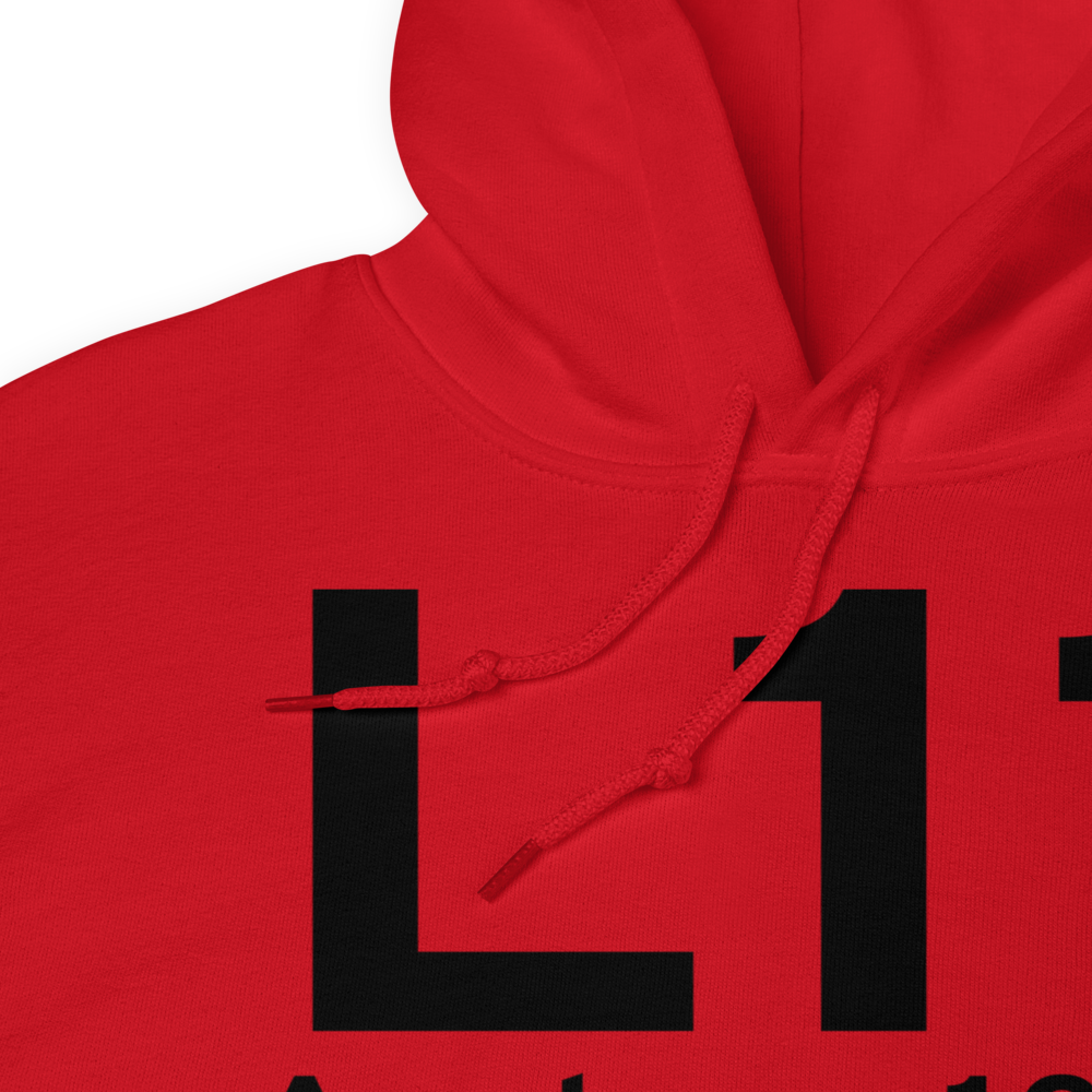 Avalon (US-0308) Airport Hoodie Sweatshirt 