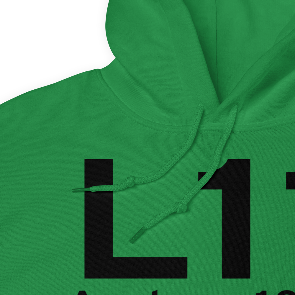 Avalon (US-0308) Airport Hoodie Sweatshirt 