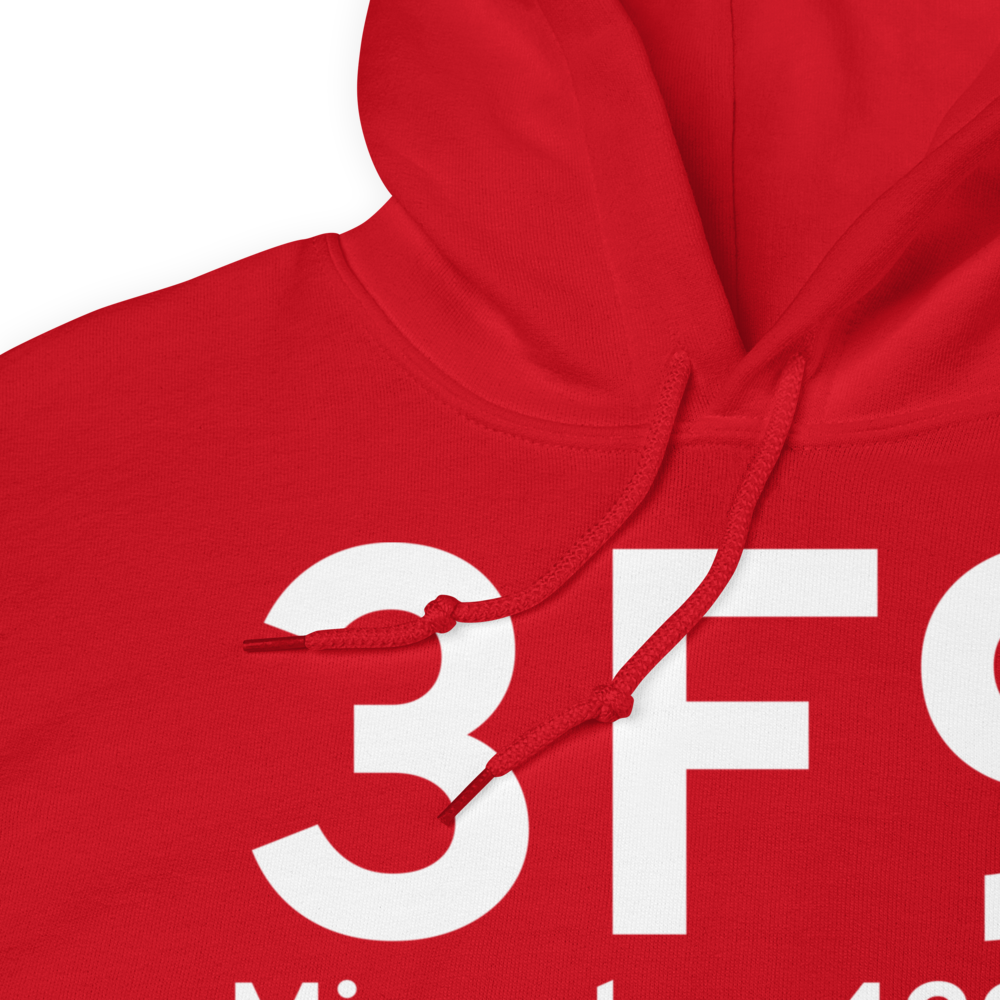 Mineola (K3F9) Airport Hoodie Sweatshirt 
