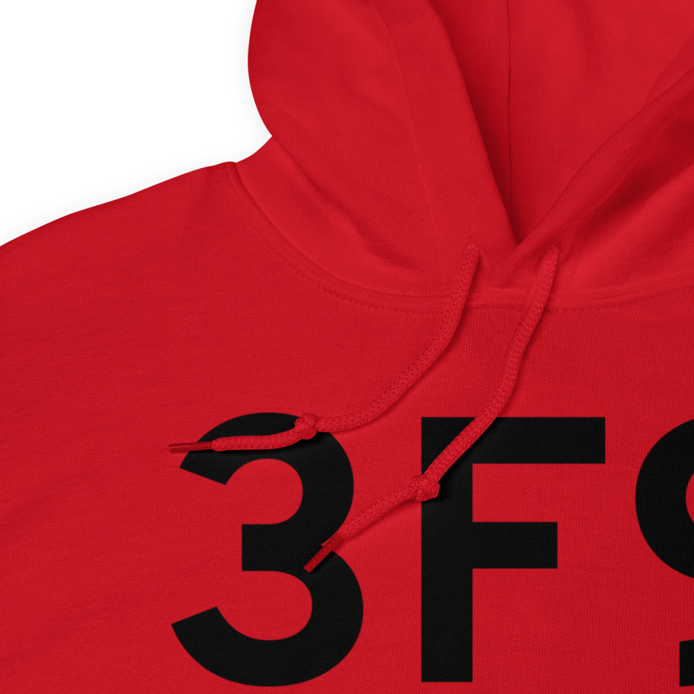 Mineola (K3F9) Airport Hoodie Sweatshirt 