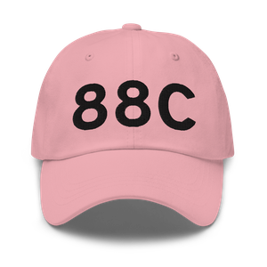 Palmyra (88C) Airport Hat