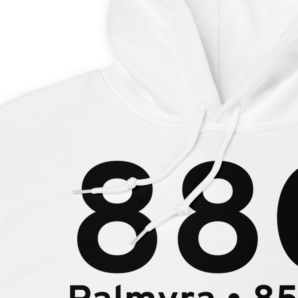 Palmyra (88C) Airport Hoodie Sweatshirt 