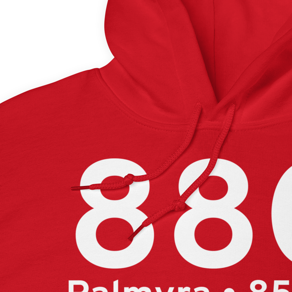 Palmyra (88C) Airport Hoodie Sweatshirt 