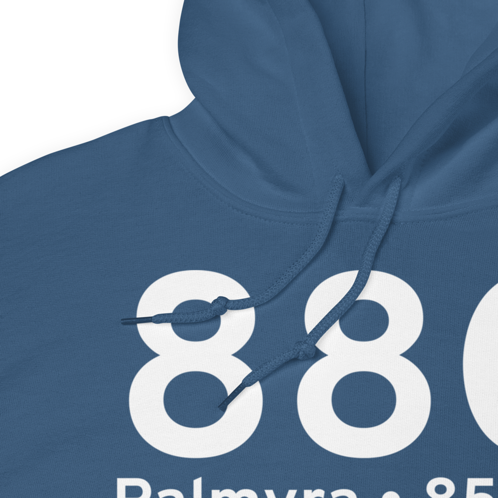Palmyra (88C) Airport Hoodie Sweatshirt 