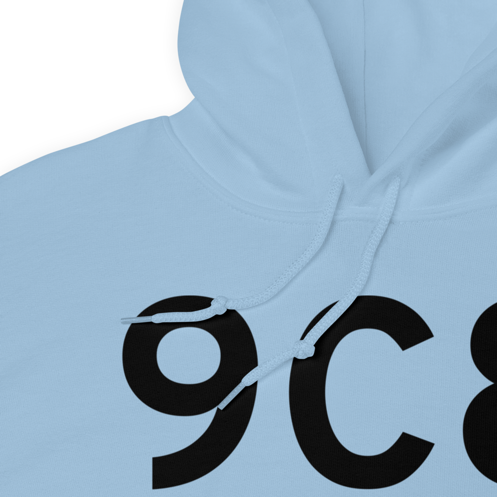 Evart (K9C8) Airport Hoodie Sweatshirt 