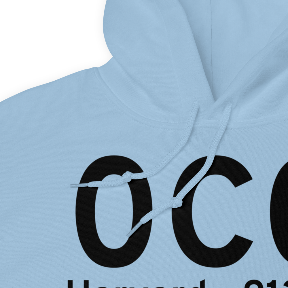 Harvard (K0C0) Airport Hoodie Sweatshirt 