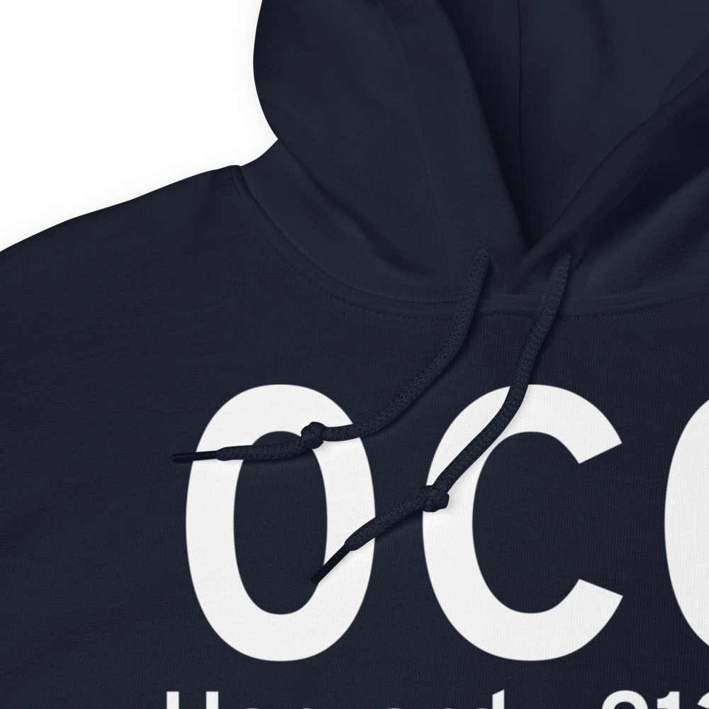 Harvard (K0C0) Airport Hoodie Sweatshirt 