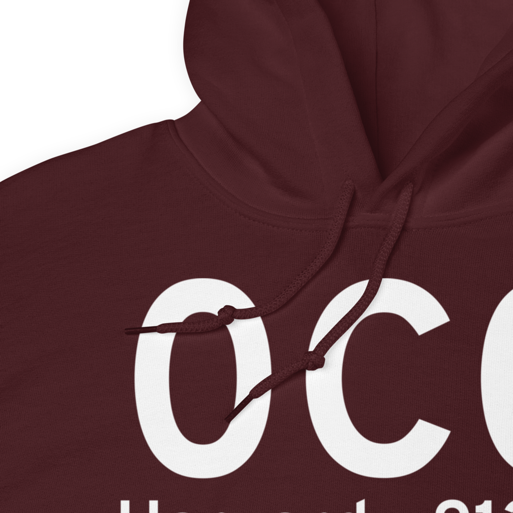 Harvard (K0C0) Airport Hoodie Sweatshirt 