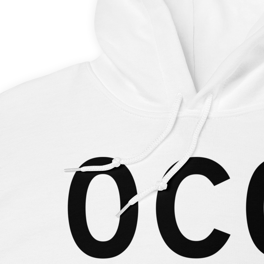 Harvard (K0C0) Airport Hoodie Sweatshirt 