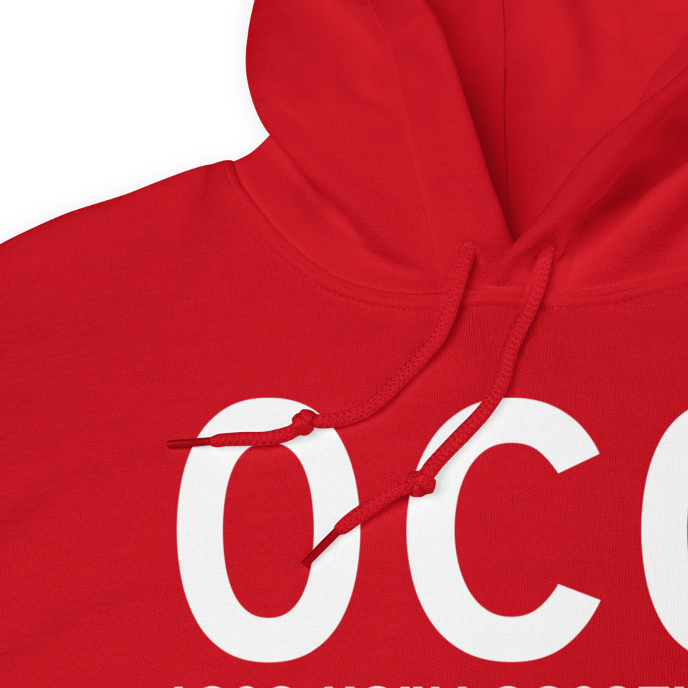 Harvard (K0C0) Airport Hoodie Sweatshirt 