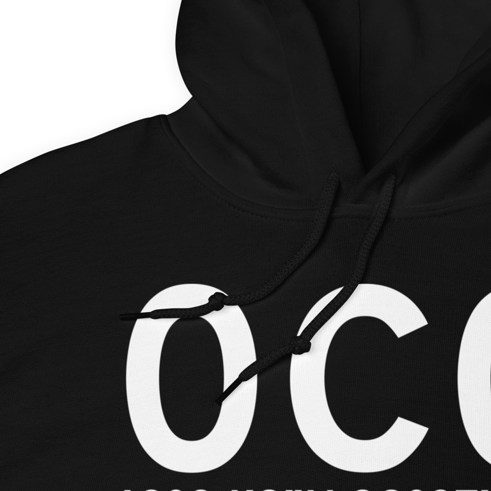 Harvard (K0C0) Airport Hoodie Sweatshirt 