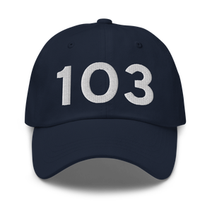 Lodi (K1O3) Airport Hat