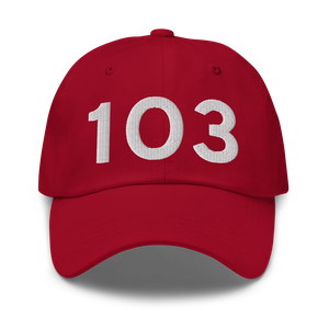 Lodi (K1O3) Airport Hat