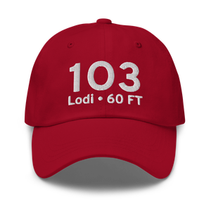 Lodi (K1O3) Airport Hat