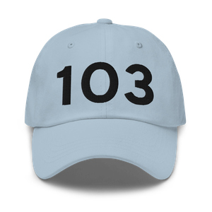 Lodi (K1O3) Airport Hat