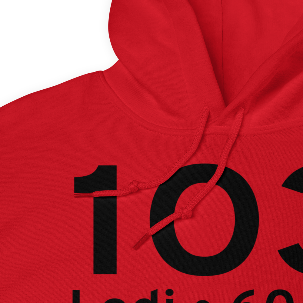 Lodi (K1O3) Airport Hoodie Sweatshirt 