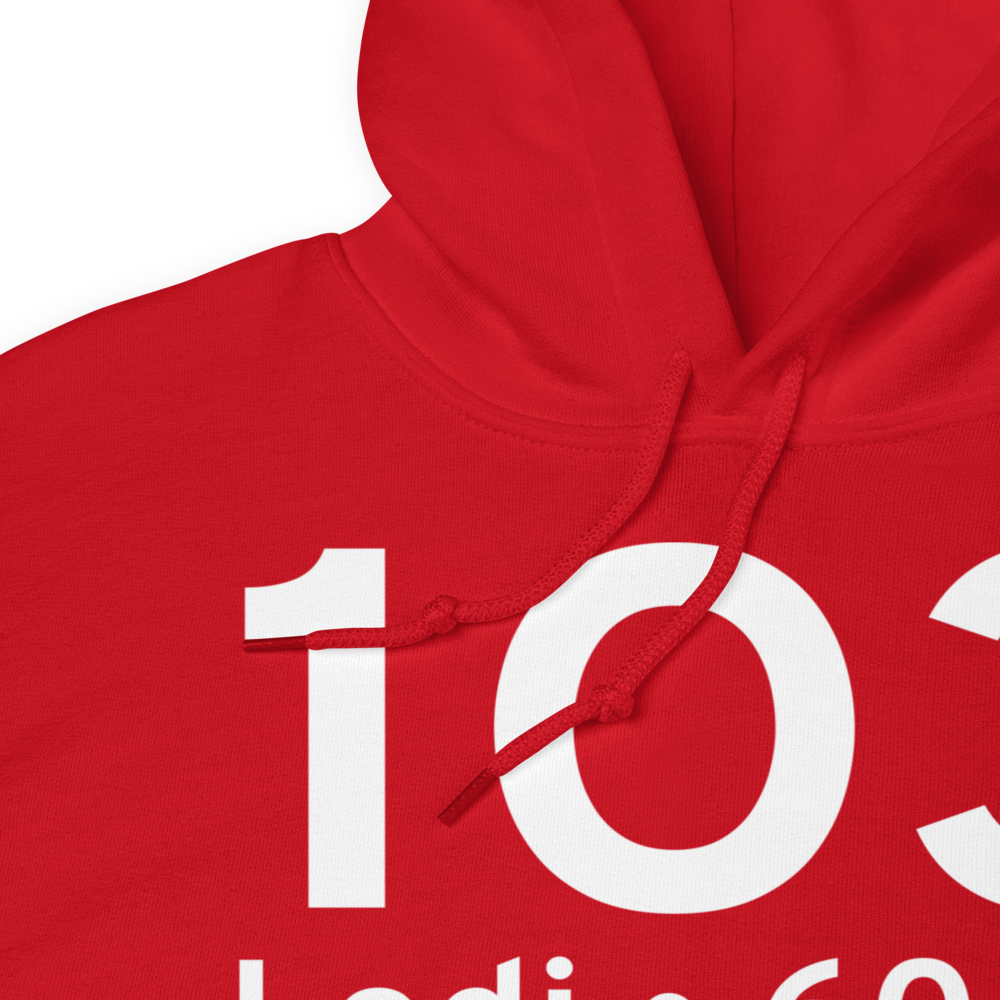 Lodi (K1O3) Airport Hoodie Sweatshirt 