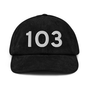 Lodi (K1O3) Airport Hat