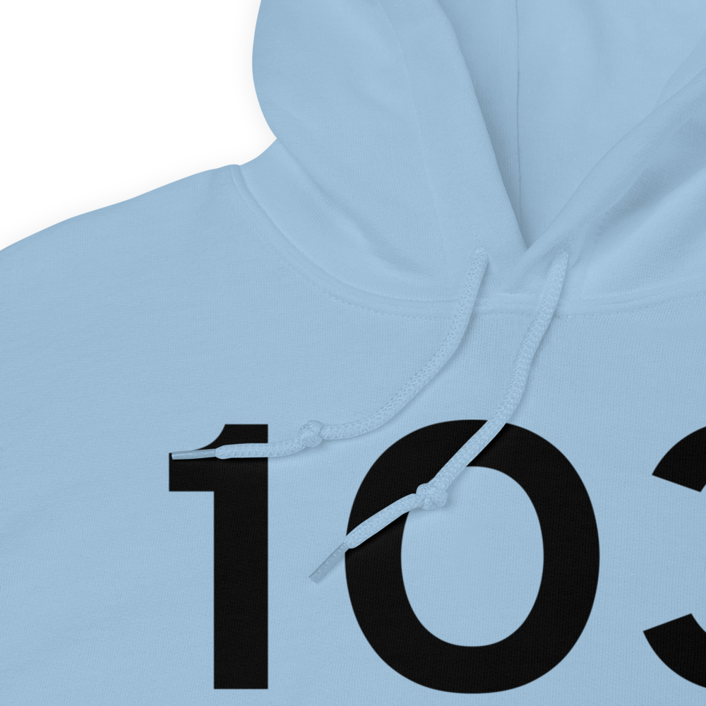 Lodi (K1O3) Airport Hoodie Sweatshirt 