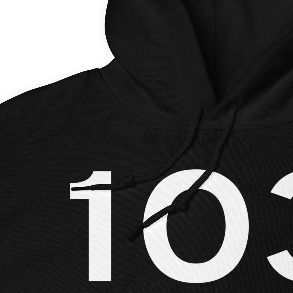 Lodi (K1O3) Airport Hoodie Sweatshirt 