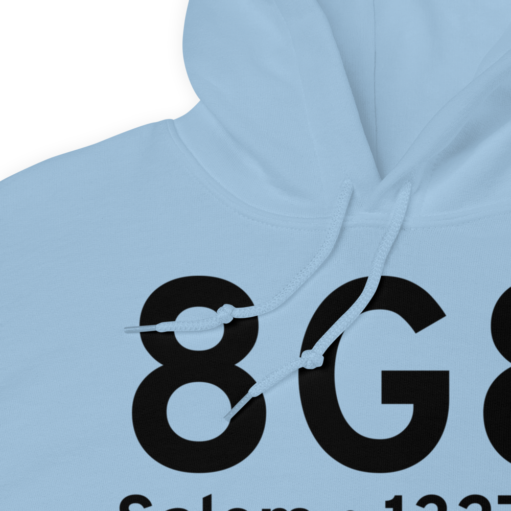 Salem (8G8) Airport Hoodie Sweatshirt 
