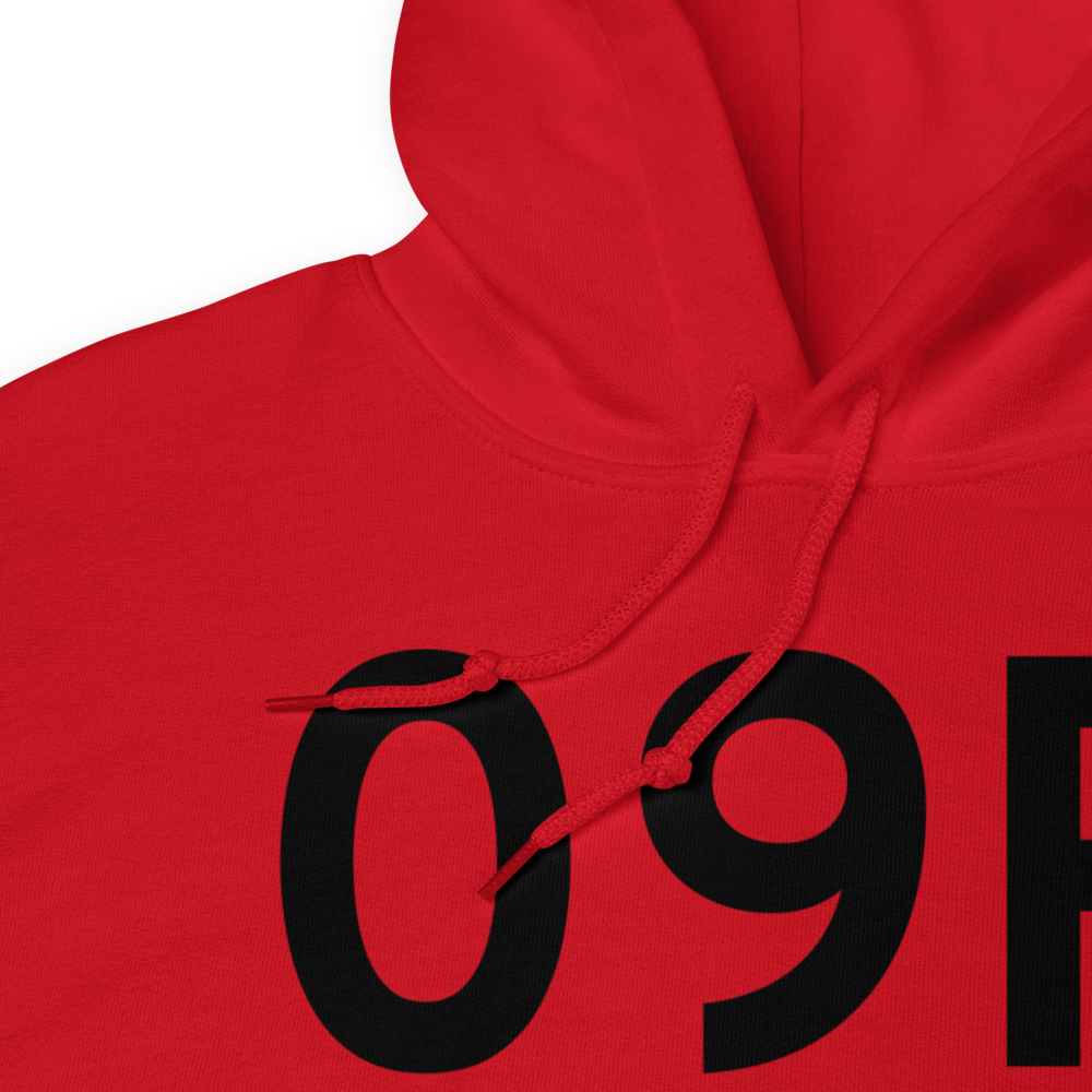 Woodville (K09R) Airport Hoodie Sweatshirt 
