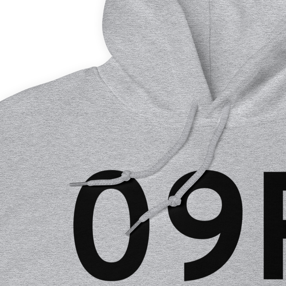 Woodville (K09R) Airport Hoodie Sweatshirt 