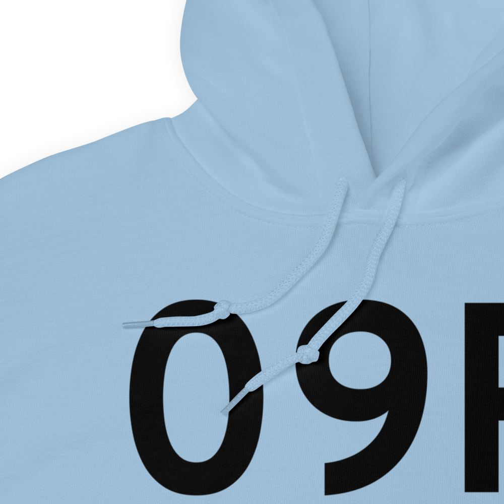 Woodville (K09R) Airport Hoodie Sweatshirt 