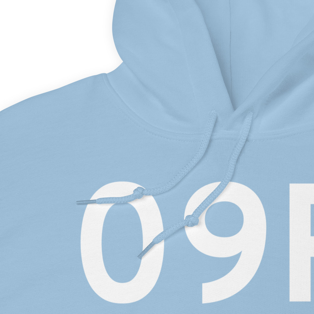 Woodville (K09R) Airport Hoodie Sweatshirt 