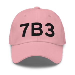 Hampton (7B3) Airport Hat