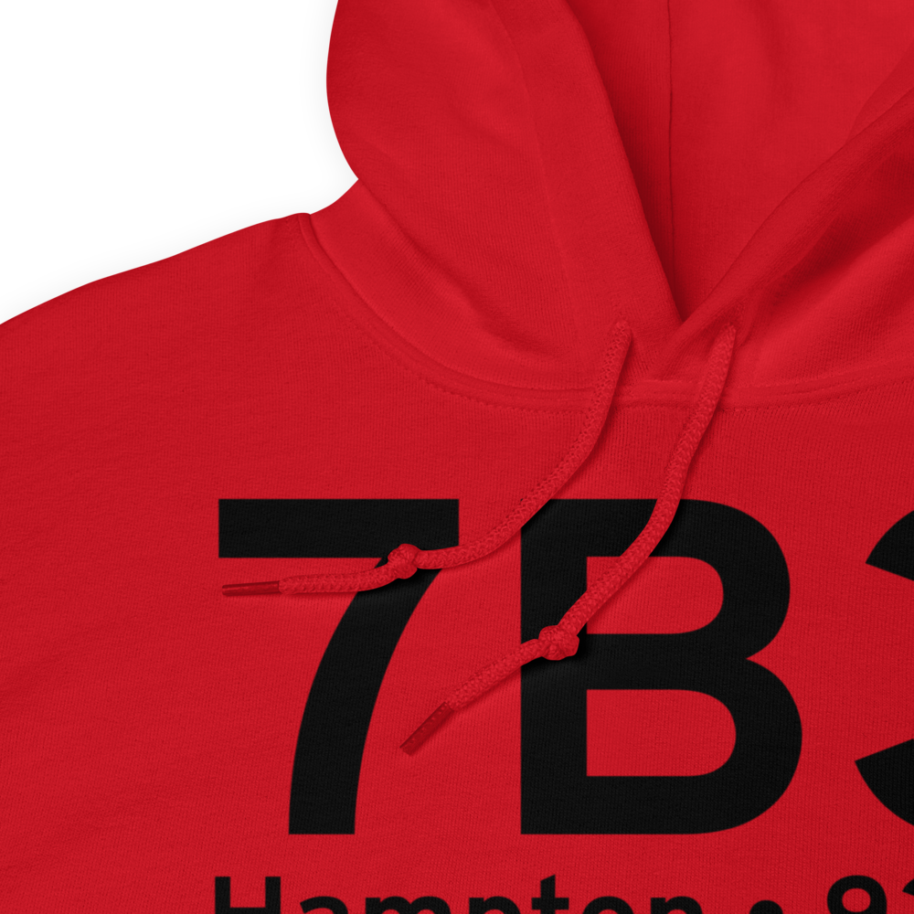 Hampton (7B3) Airport Hoodie Sweatshirt 