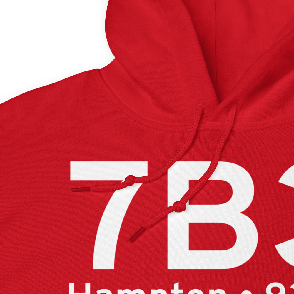 Hampton (7B3) Airport Hoodie Sweatshirt 