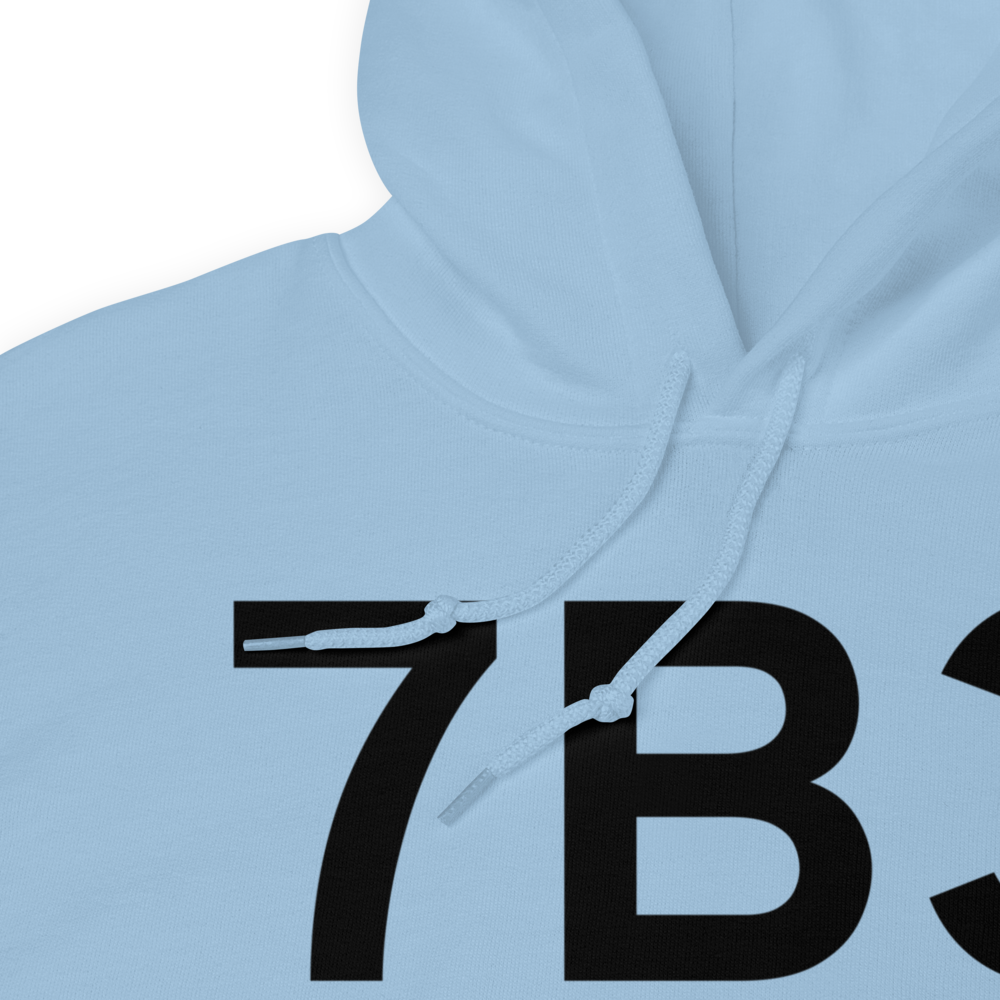 Hampton (7B3) Airport Hoodie Sweatshirt 