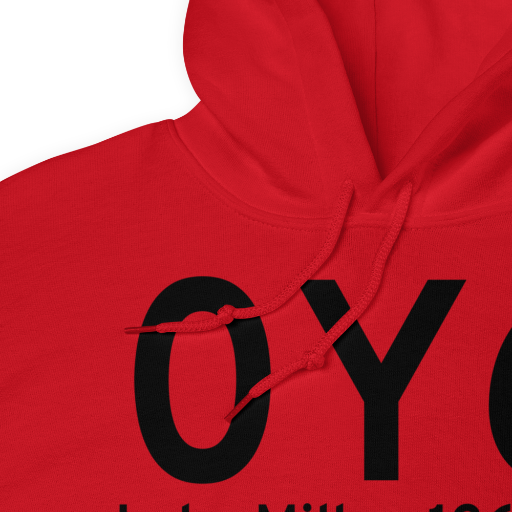 Lake Mills (0Y6) Airport Hoodie Sweatshirt 