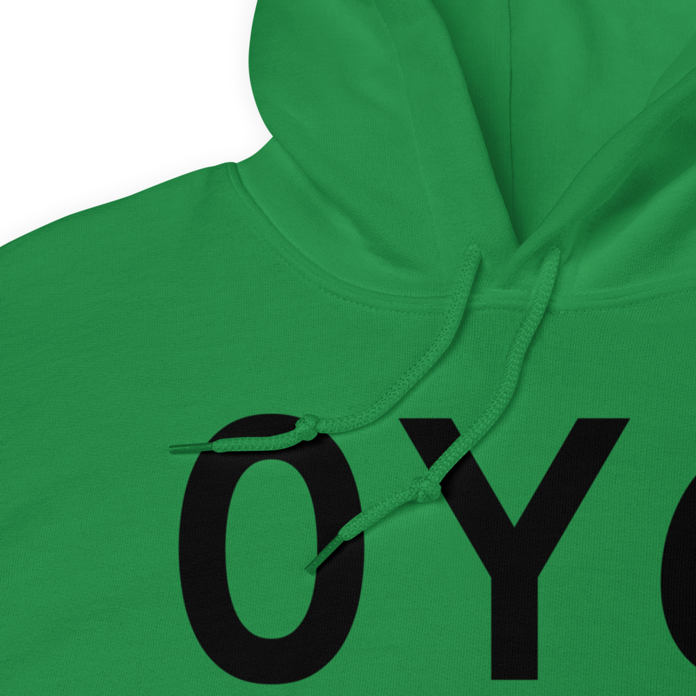 Lake Mills (0Y6) Airport Hoodie Sweatshirt 