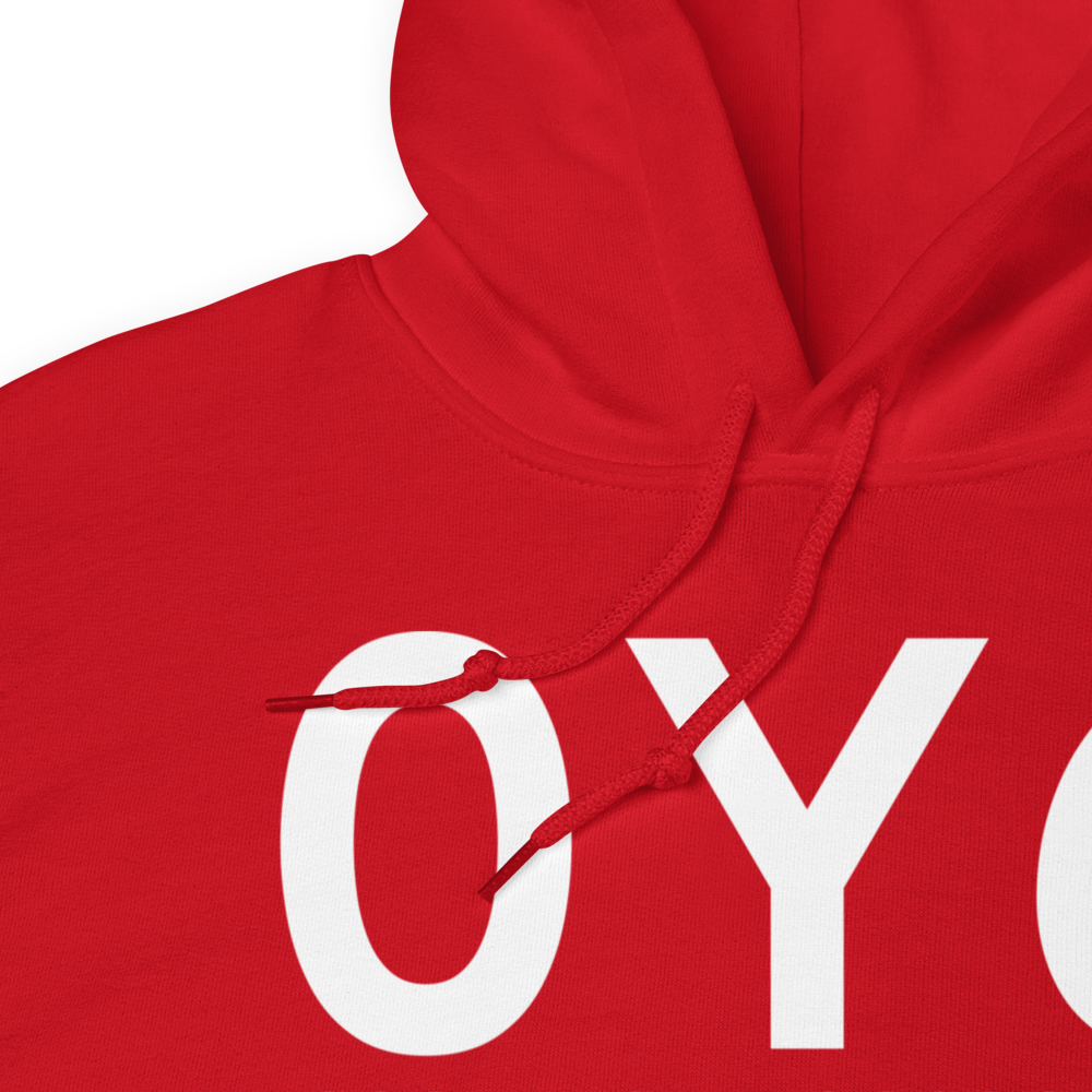 Lake Mills (0Y6) Airport Hoodie Sweatshirt 