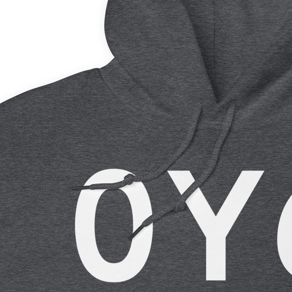 Lake Mills (0Y6) Airport Hoodie Sweatshirt 